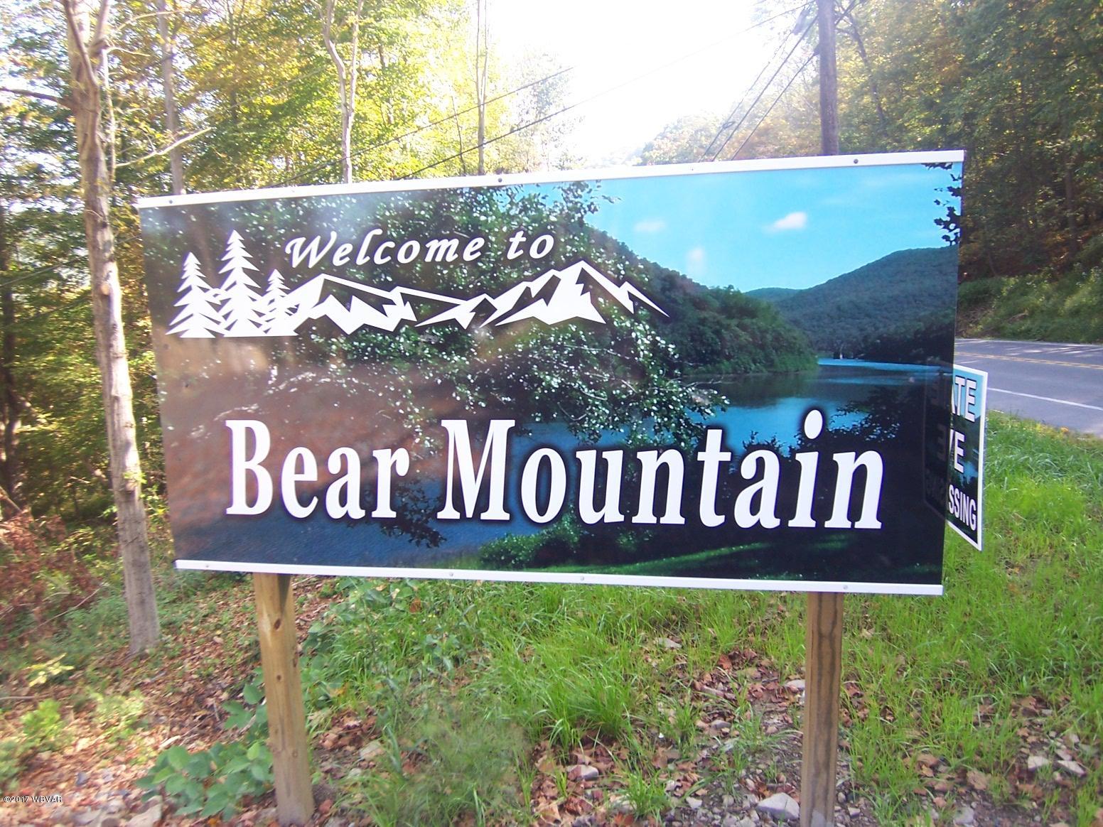 1650 Renovo Road Mill Hall, PA 17751 - Photo 1 of 6 bear mountain village lot