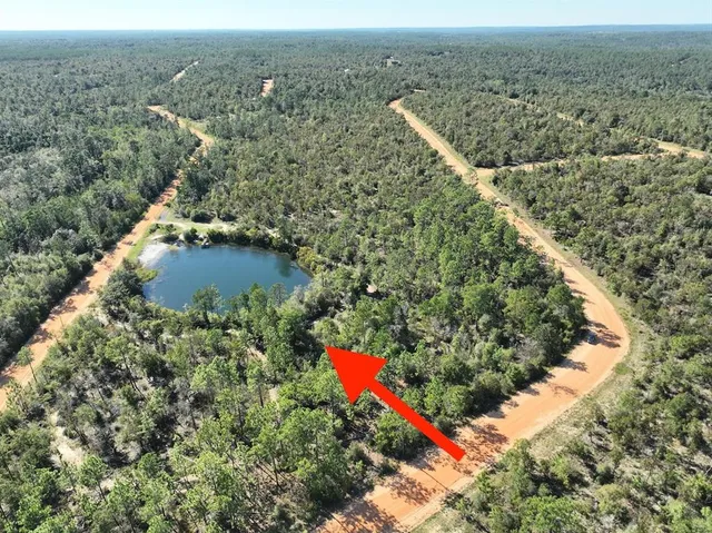 an aerial view of a house with a yard and lake view