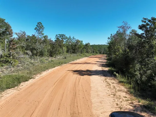 a view of a city with lush green forest