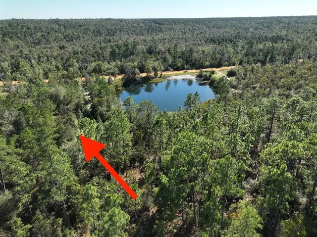 a view of a lake with a mountain
