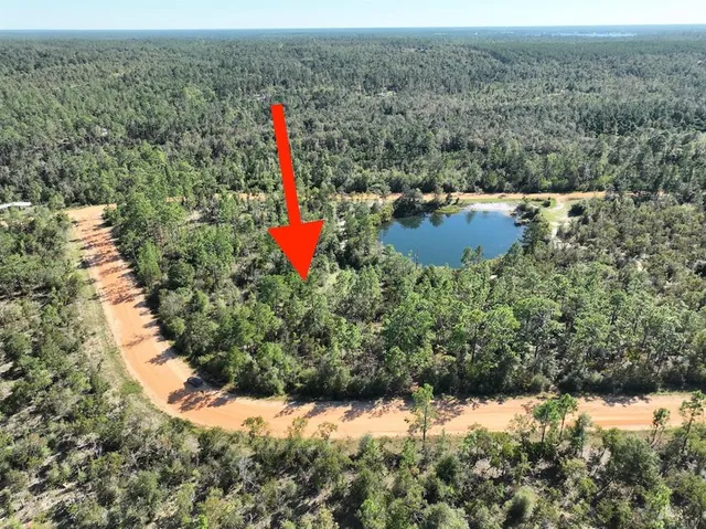 an aerial view of a house with a yard and lake view