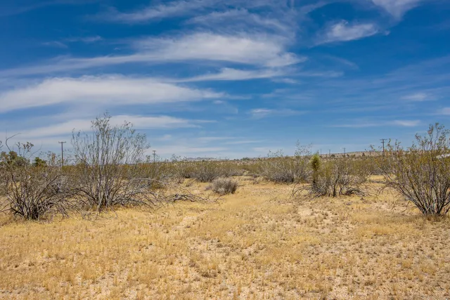 a view of beach and lake