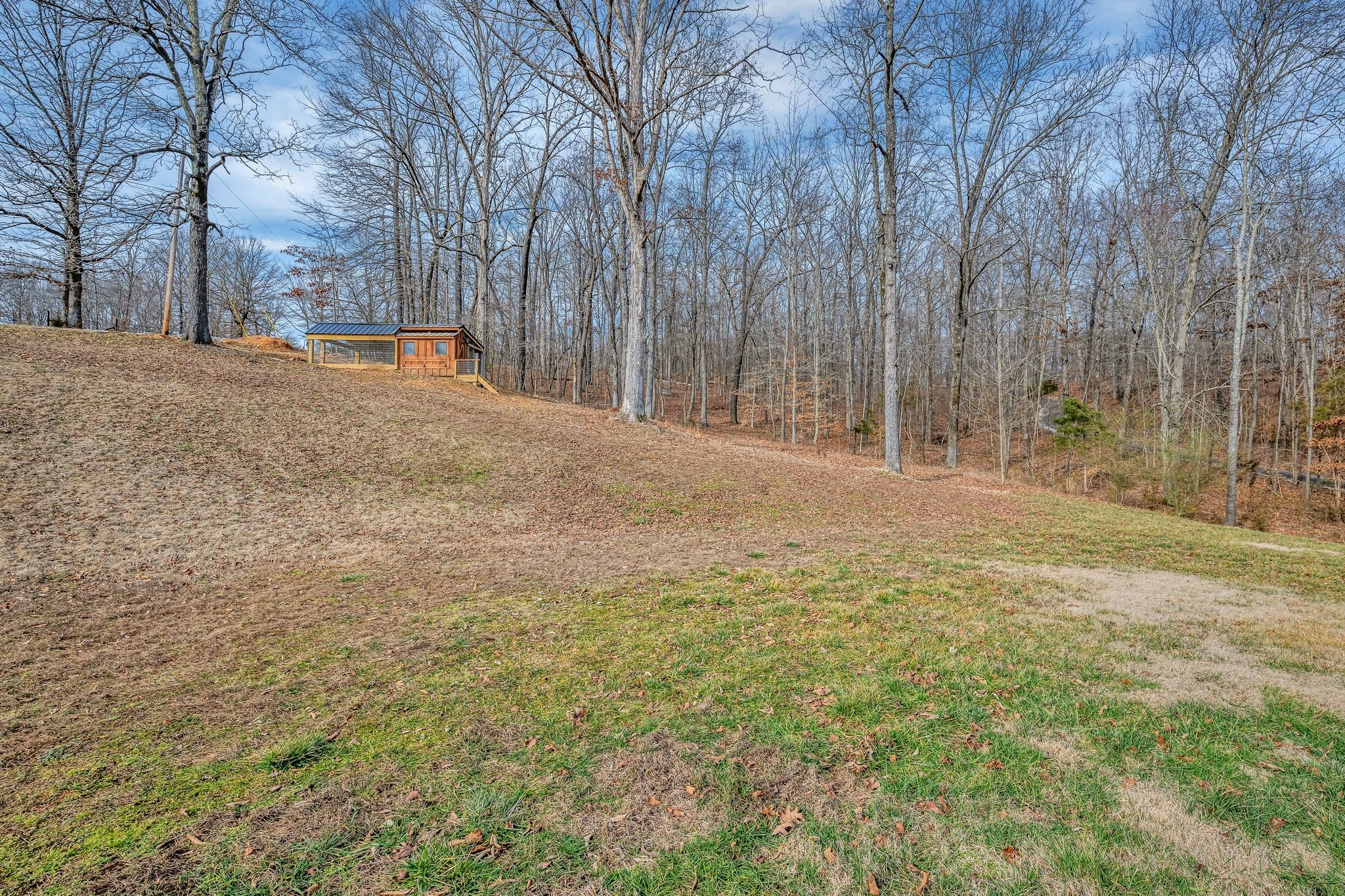 712 State Highway 48 Dickson, TN 37055 - Photo 53 of 73 a view of dirt yard with a large tree
