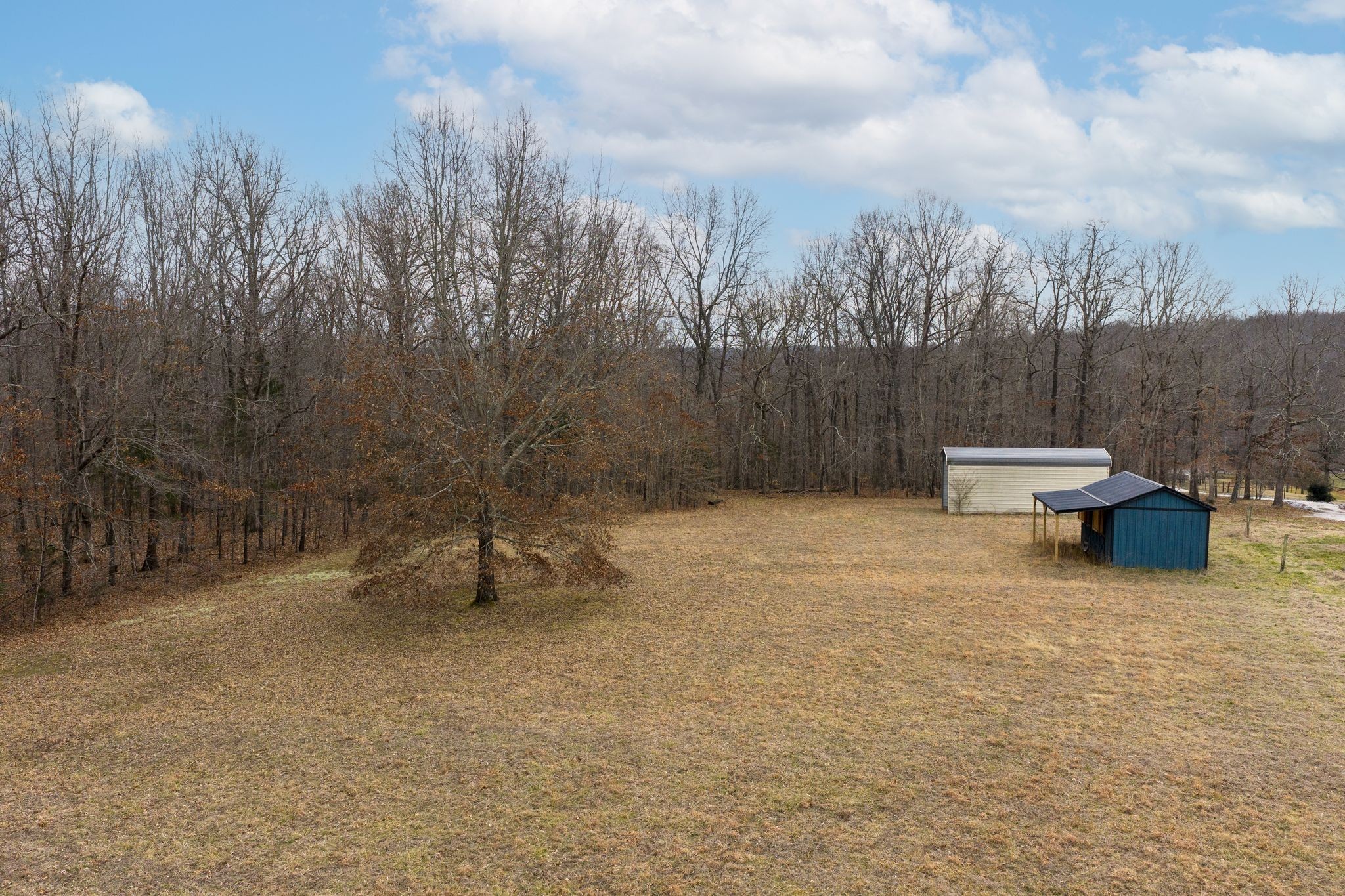 712 State Highway 48 Dickson, TN 37055 - Photo 71 of 73 a backyard of a house with large trees and wooden fence