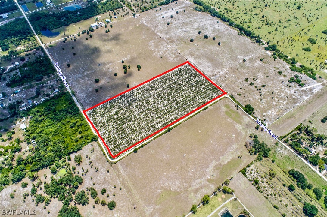 1604 Murray Road LaBelle, FL 33935 - Photo 4 of 7 Gallery Image 4