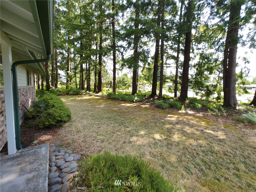 711 Robin Hood Loop Forks, WA 98331 - Photo 4 of 40 Gallery Image 4