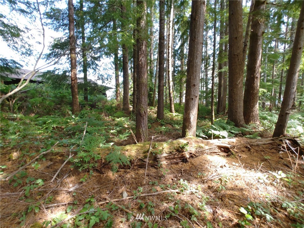 711 Robin Hood Loop Forks, WA 98331 - Photo 37 of 40 Gallery Image 37