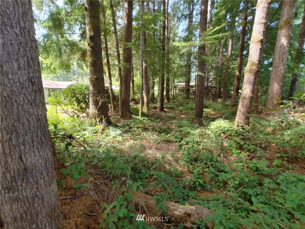 711 Robin Hood Loop Forks, WA 98331 - Photo 38 of 40 Gallery Image 38