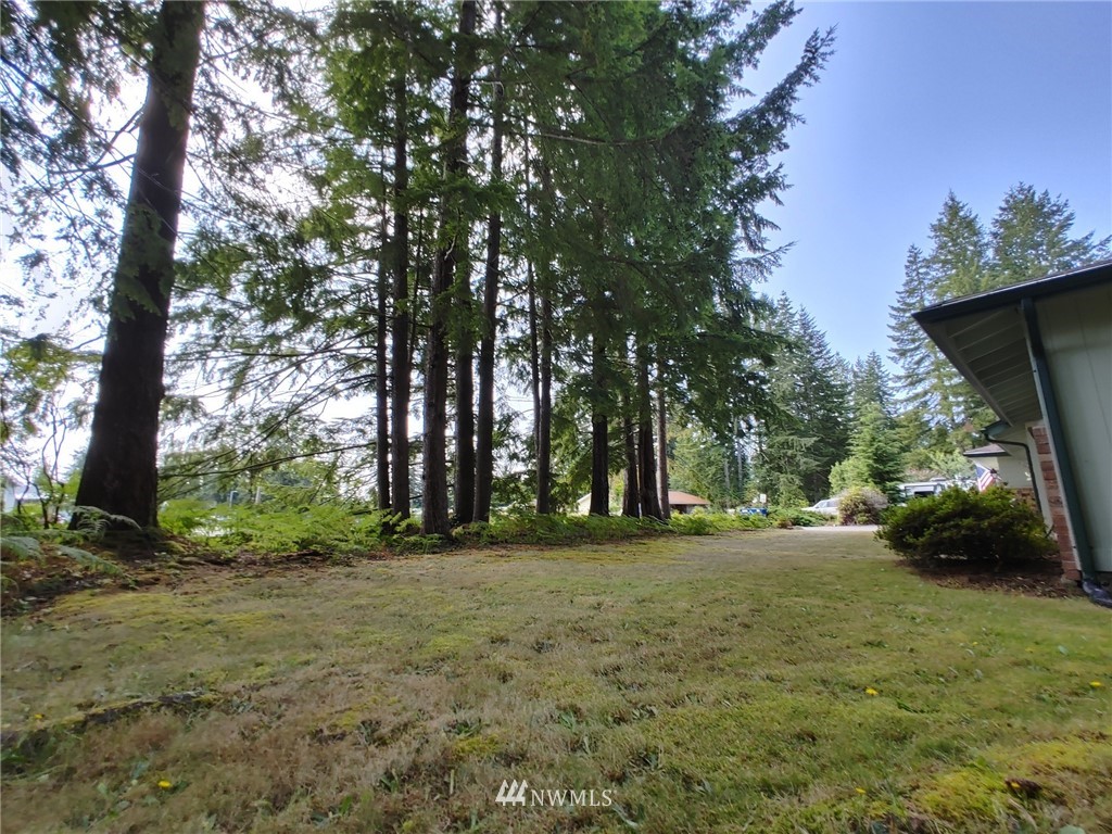 711 Robin Hood Loop Forks, WA 98331 - Photo 6 of 40 Gallery Image 6