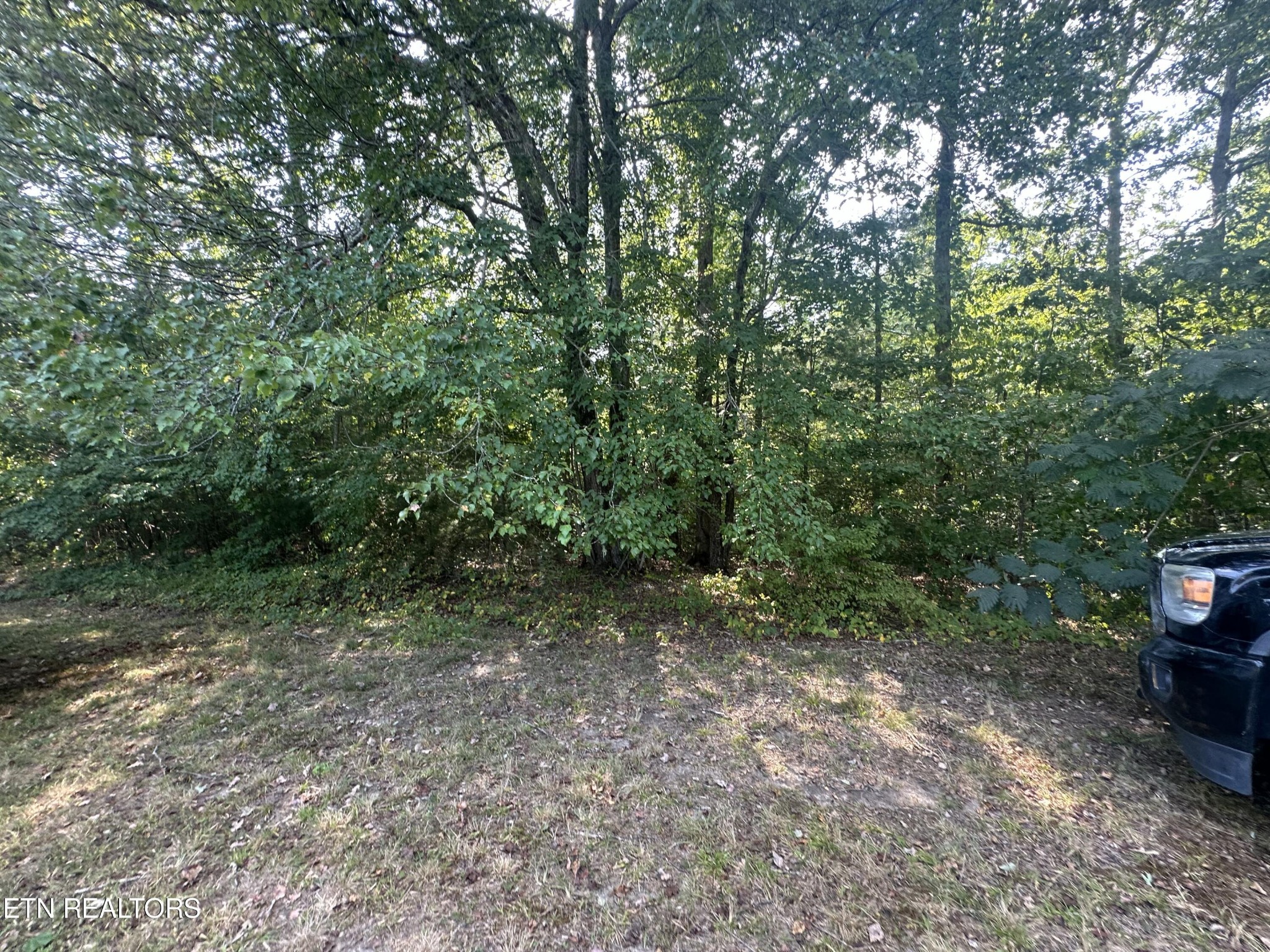 0 John Cox Road Deer Lodge, TN 37726 - Photo 7 of 19