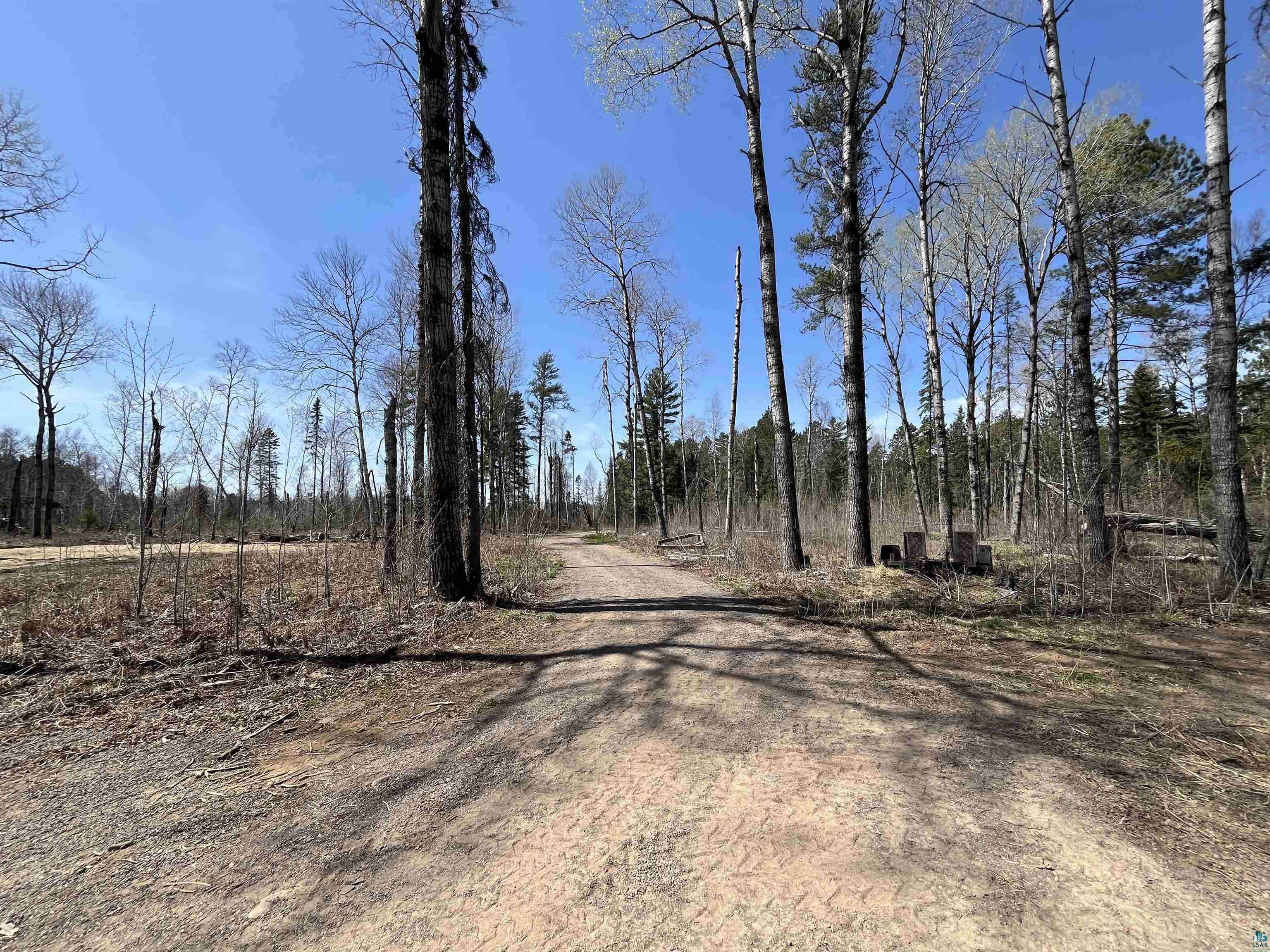 9884 Fredrickson Road Isabella, MN 55607 - Photo 32 of 39 View of road featuring a wooded view