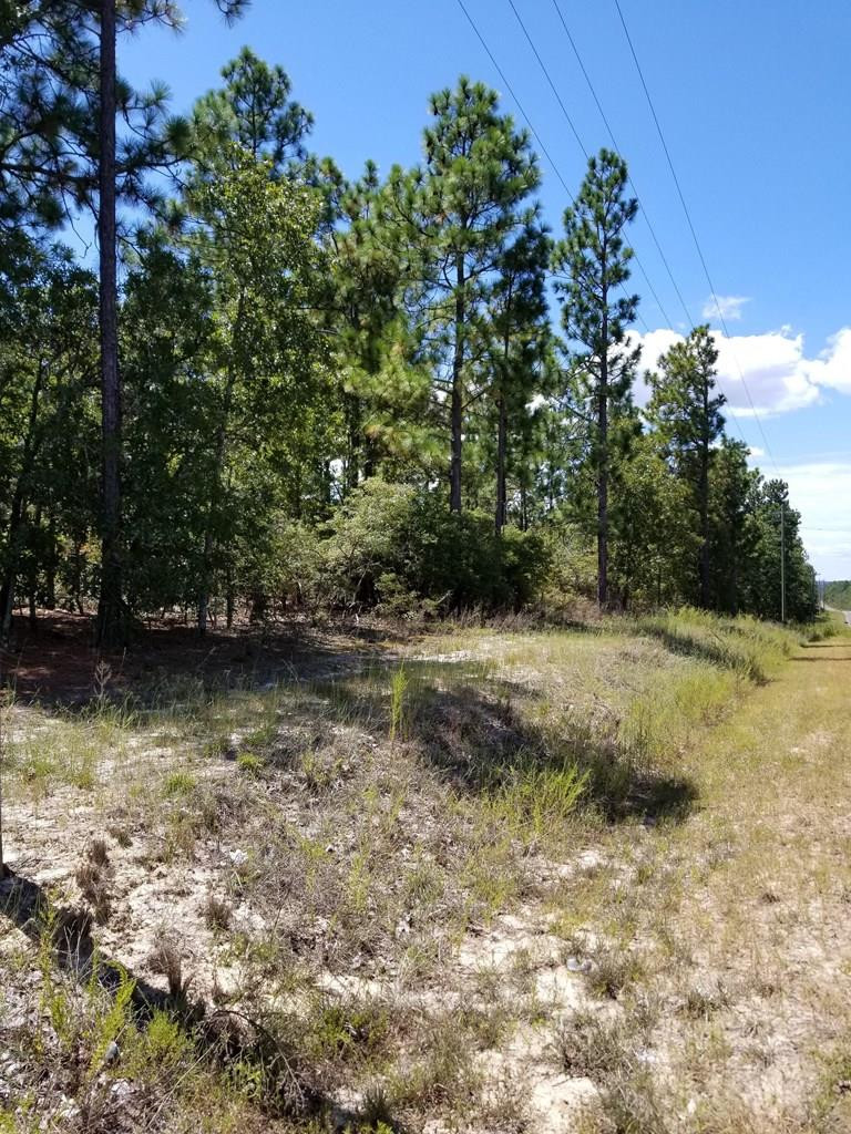 Lot 11 Colbert Bridge Road Windsor, SC 29856 - Photo 2 of 6