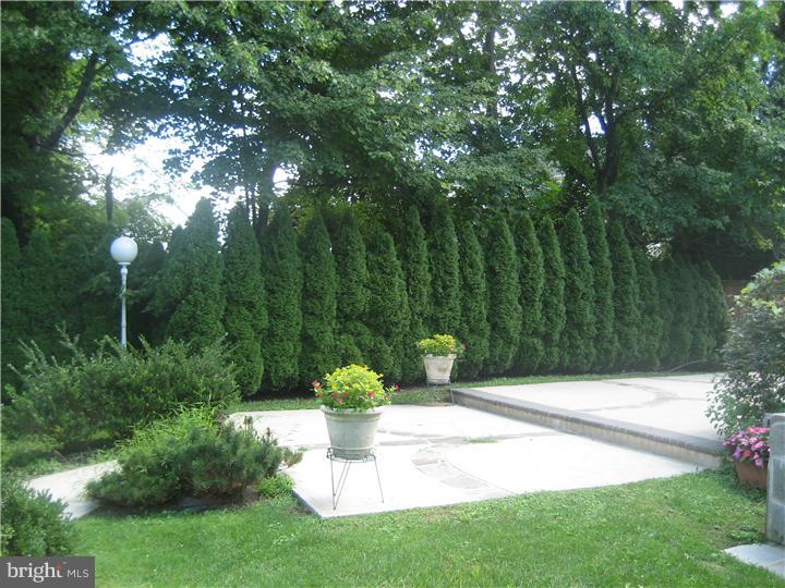 124 Taylors Mills Road Manalapan, NJ 07726 - Photo 19 of 23