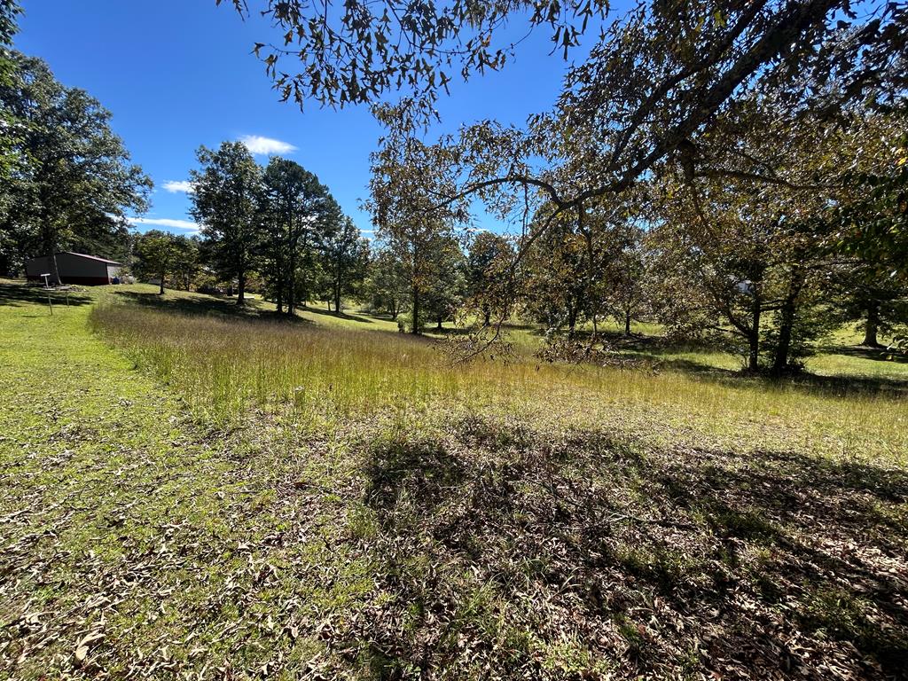 0 Country Lane Murphy, NC 28906 - Photo 3 of 3