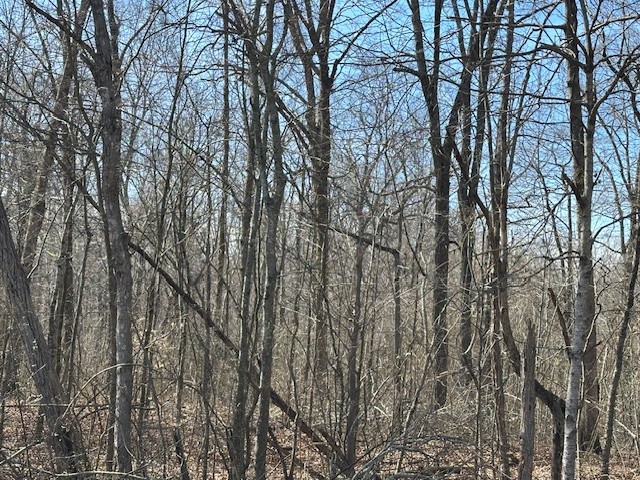 0 Pinewood Road Primm Springs, TN 38476 - Photo 3 of 7 Gallery Image 3