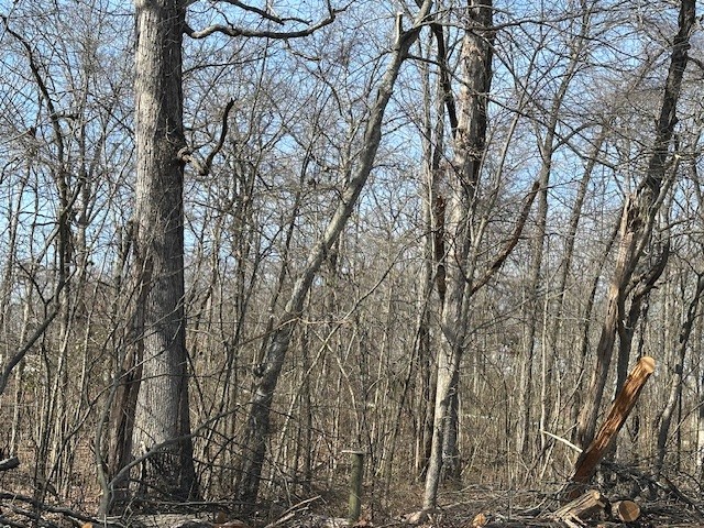 0 Pinewood Road Primm Springs, TN 38476 - Photo 4 of 7 Gallery Image 4