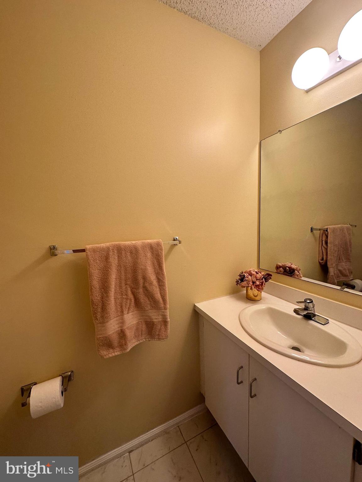6 Wosniak Court Lawrence Township, NJ 08648 - Photo 10 of 20 a bathroom with a sink and mirror