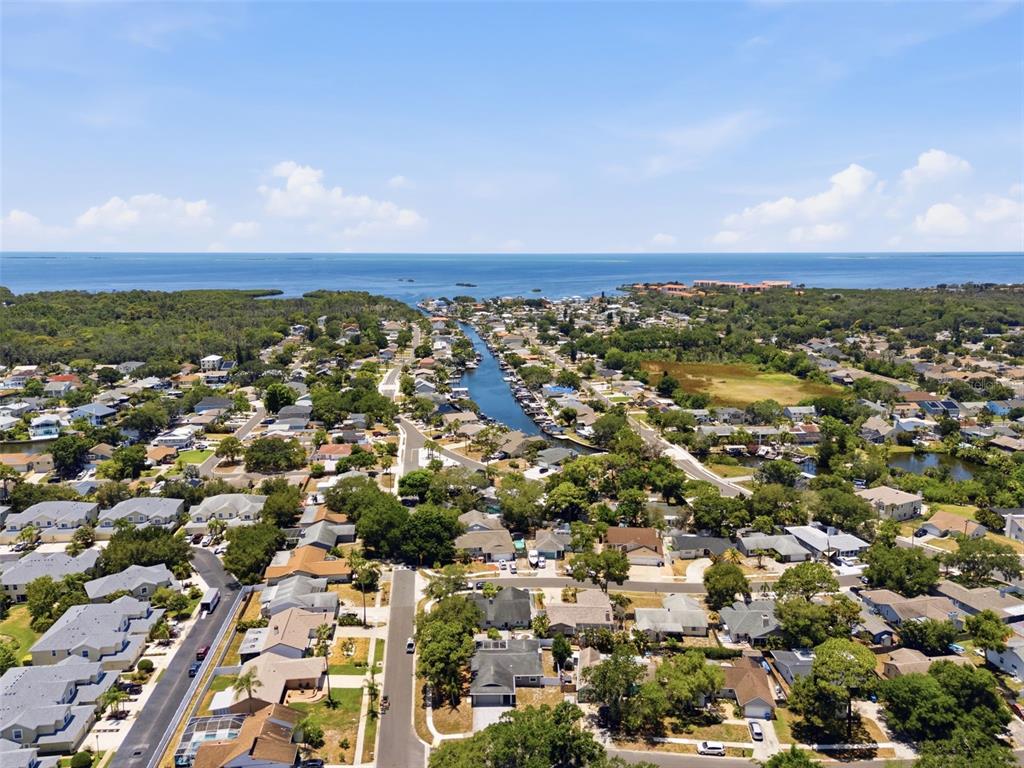 4712 Simcoe Street Palm Harbor, FL 34683 - Photo 49 of 51