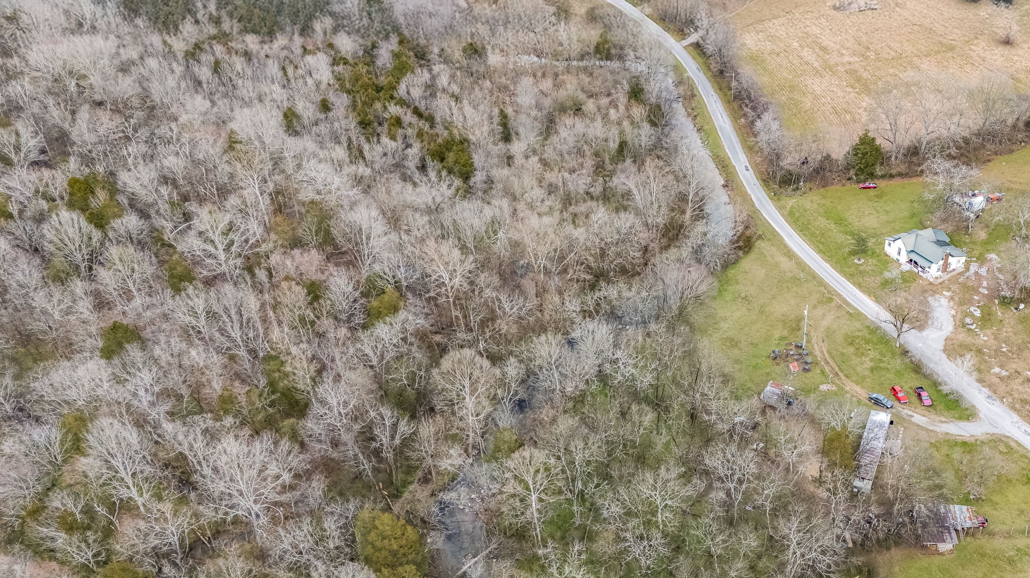 0 Duck Branch Road Fayetteville, TN 37334 - Photo 3 of 9 a view of a lake in a forest