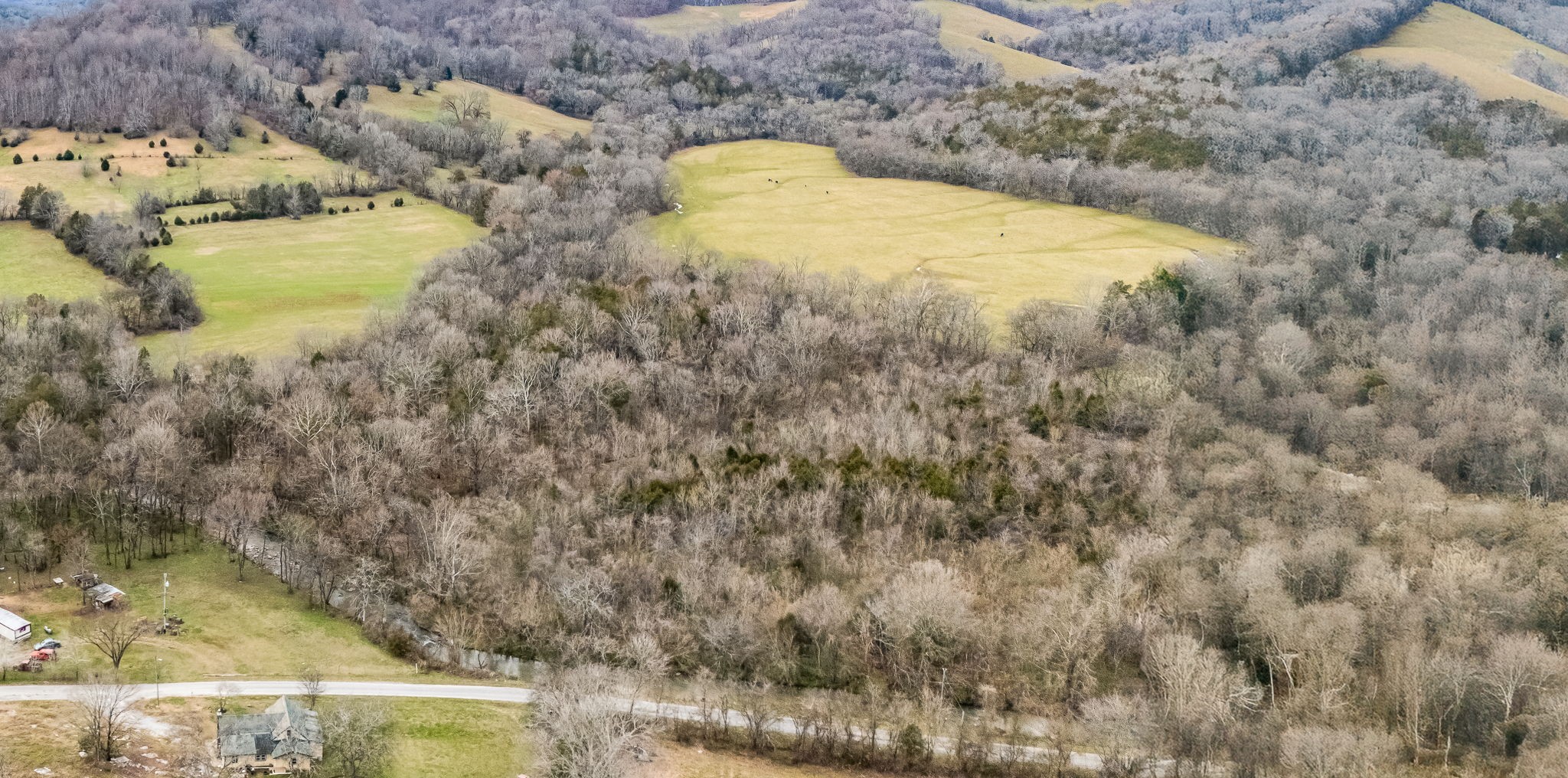0 Duck Branch Road Fayetteville, TN 37334 - Photo 8 of 9 a bathroom with a bathtub