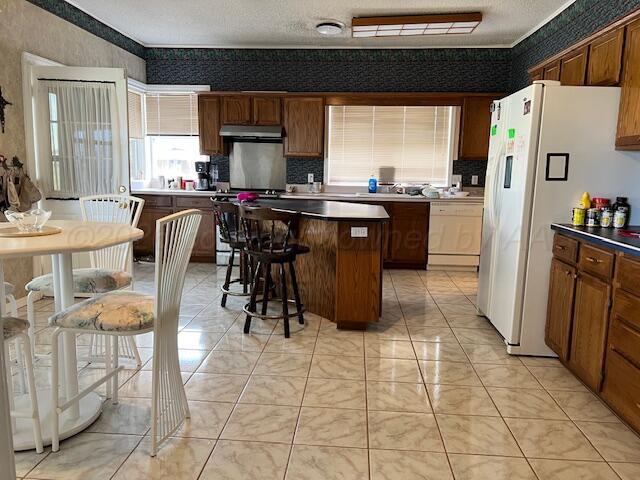 14639 1454th Road Follett, TX 79034 - Photo 3 of 17 IMG_9280