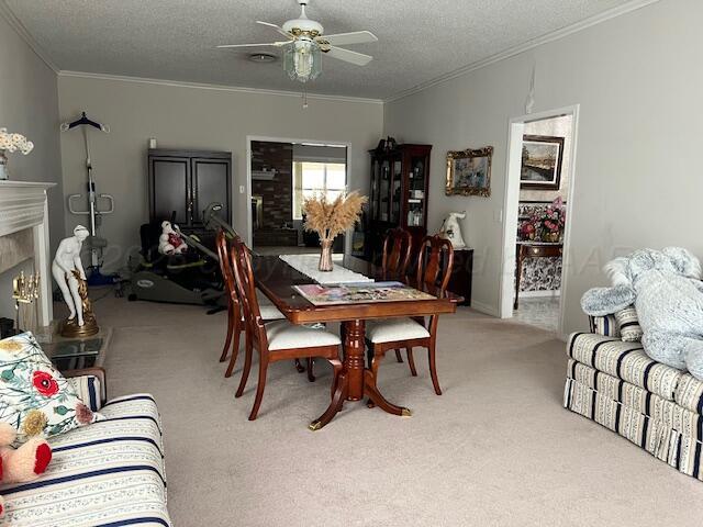 14639 1454th Road Follett, TX 79034 - Photo 6 of 17 IMG_9298