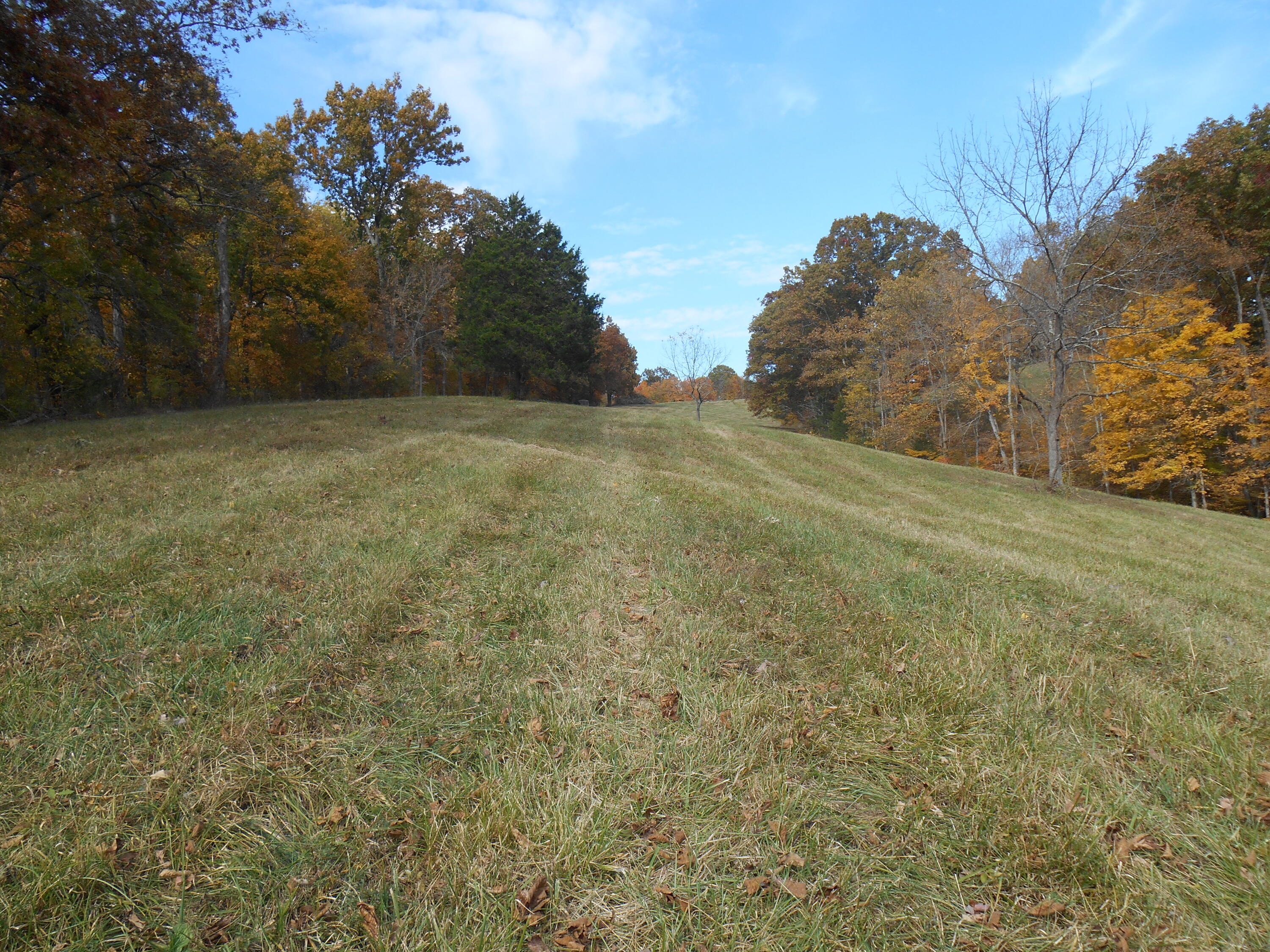 0 Osborne Road Dry Ridge, KY 41035 - Photo 3 of 6