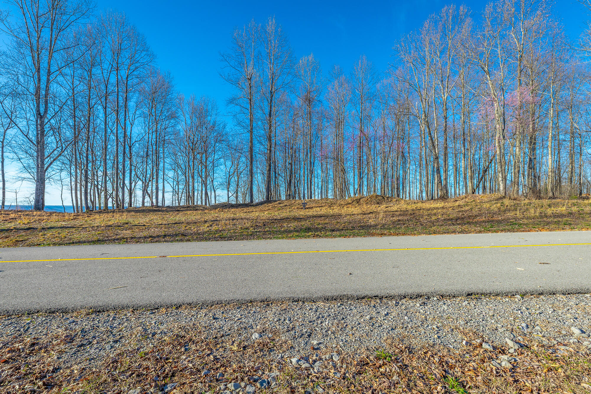 0 Cherokee Path, Unit JF269 Jasper, TN 37347 - Photo 23 of 94 0 Cherokee Path - JF269 HD-20