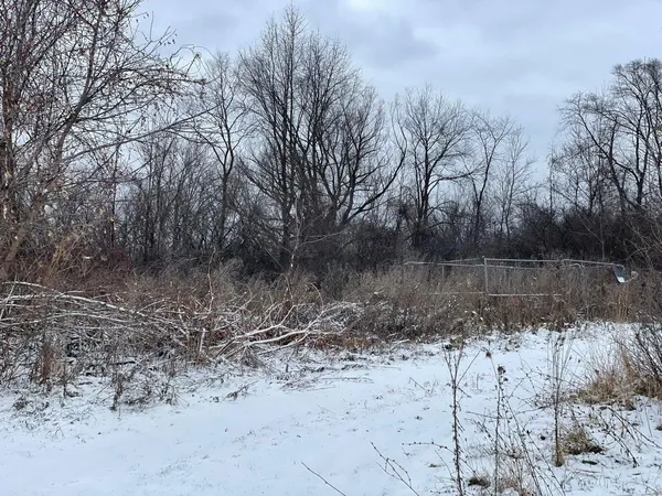 $250,000 | 300 Cleveland Street, Chelsea, MI 48118