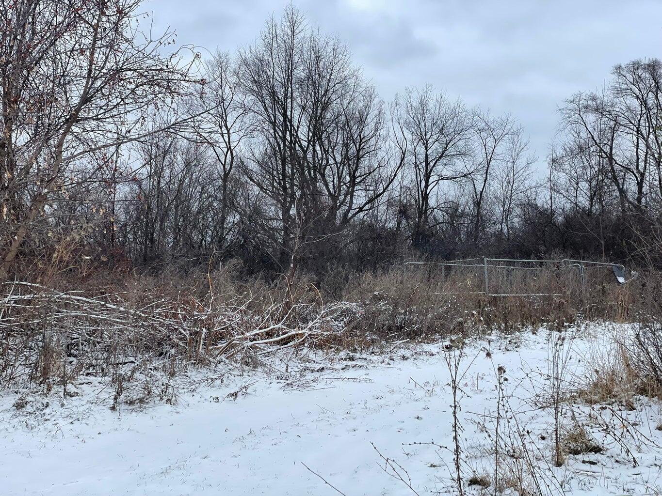 300 Cleveland Street Chelsea, MI 48118 - Photo 14 of 20 20241206172029409663000000-o