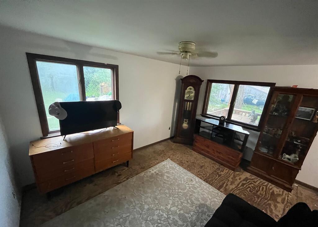 300 Cleveland Street Chelsea, MI 48118 - Photo 5 of 20 20241206172049457760000000-o