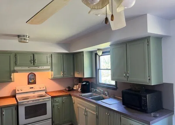 $250,000 | 300 Cleveland Street, Chelsea, MI 48118