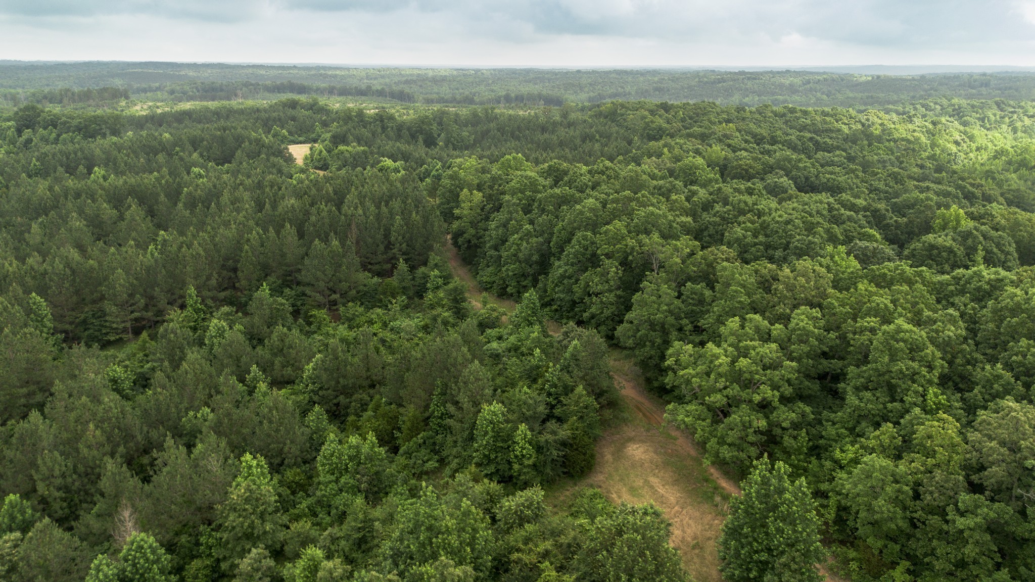 115 Baudy James Road Cedar Grove, TN 38321 - Photo 1 of 18 an aerial view of residential houses with outdoor space and trees