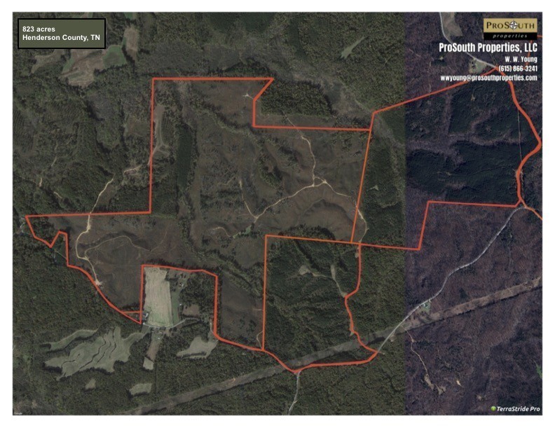 115 Baudy James Road Cedar Grove, TN 38321 - Photo 16 of 18 a bathroom with a shower