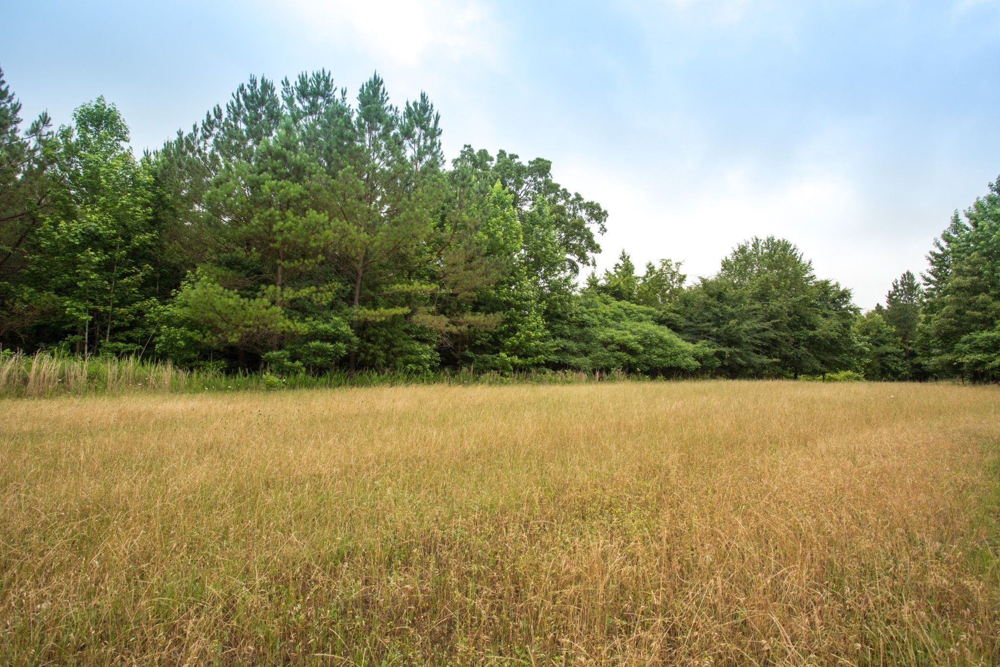 115 Baudy James Road Cedar Grove, TN 38321 - Photo 5 of 18 a view of an ocean from a yard