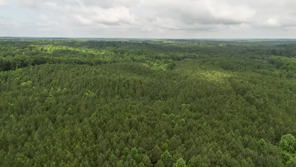 a view of a city with lush green forest