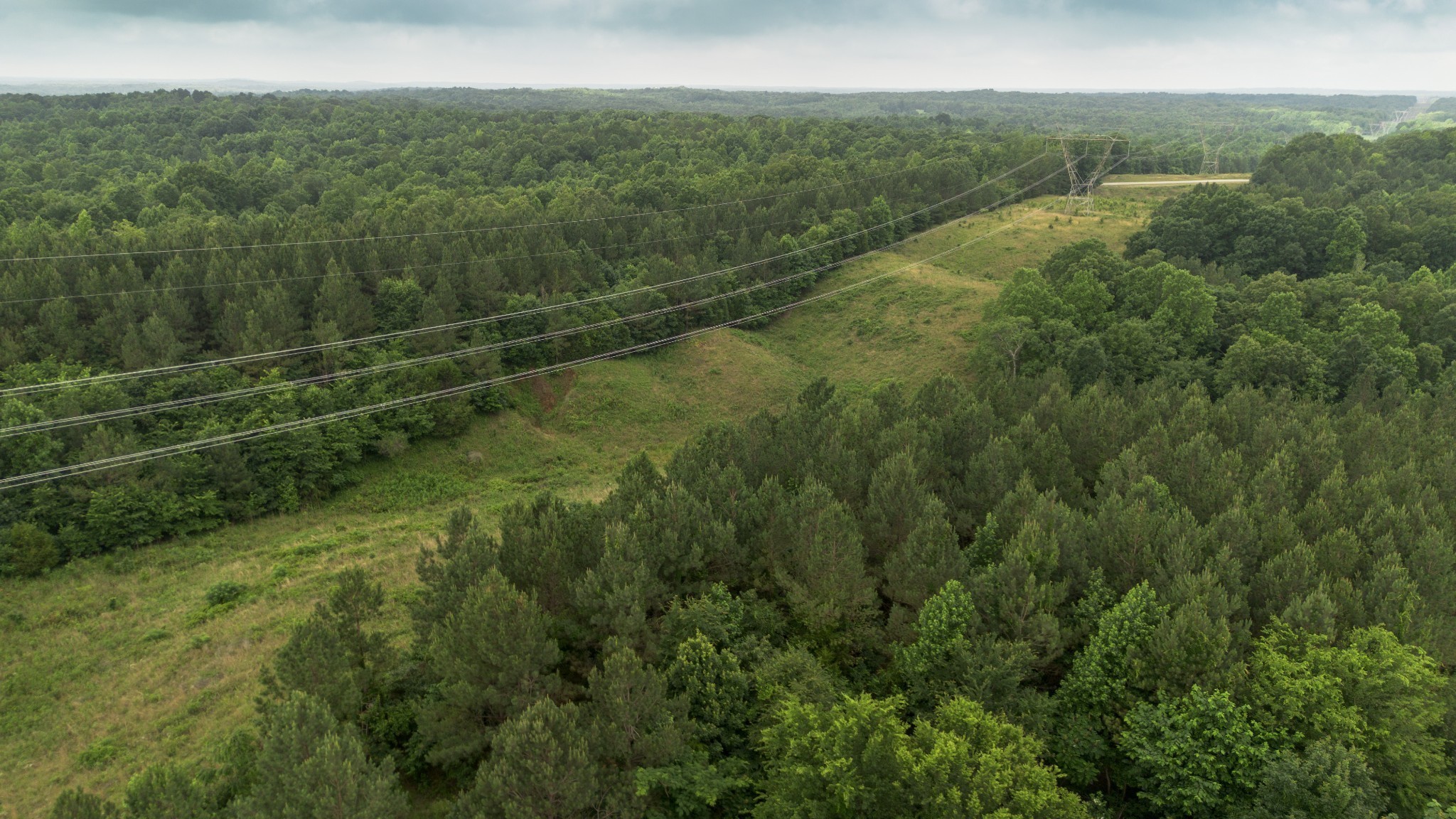 115 Baudy James Road Cedar Grove, TN 38321 - Photo 9 of 18 a view of a field with an outdoor space