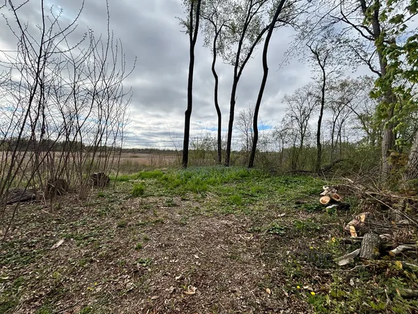 a view of backyard with green space