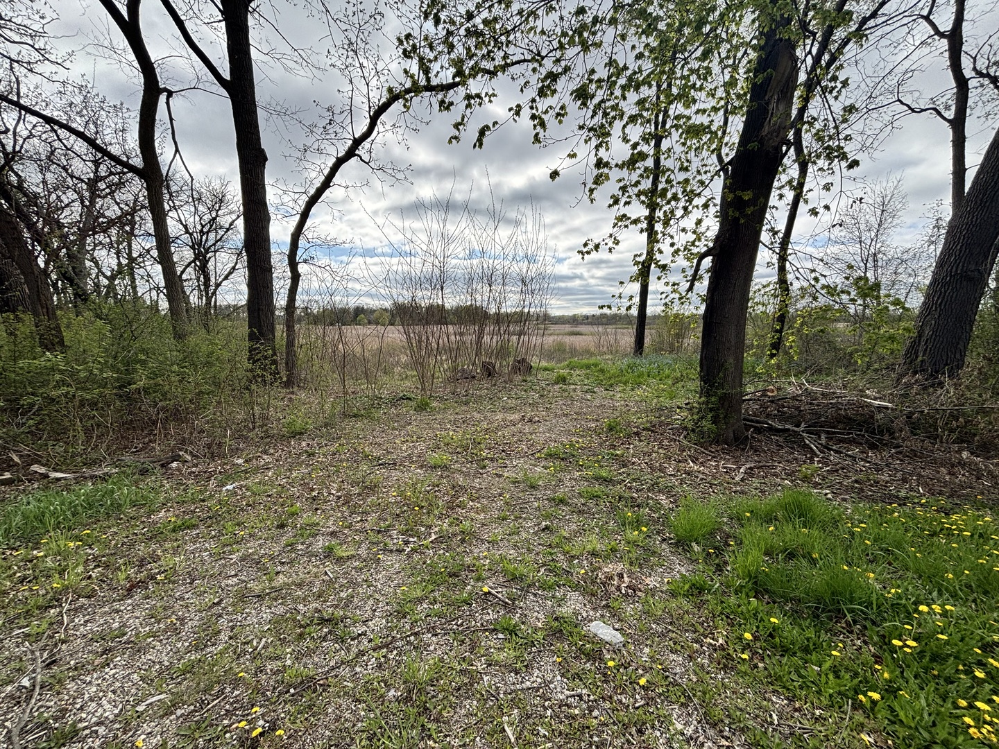 41092 Deep Lake Road Antioch, IL 60002 - Photo 4 of 5 a backyard of a house with lots of green space