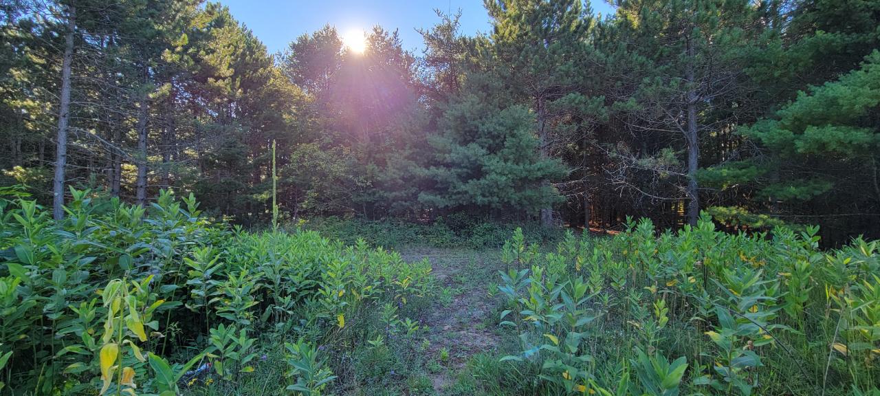 3873 Pine Square Road Tomahawk, WI 54487 - Photo 34 of 36 Gallery Image 34