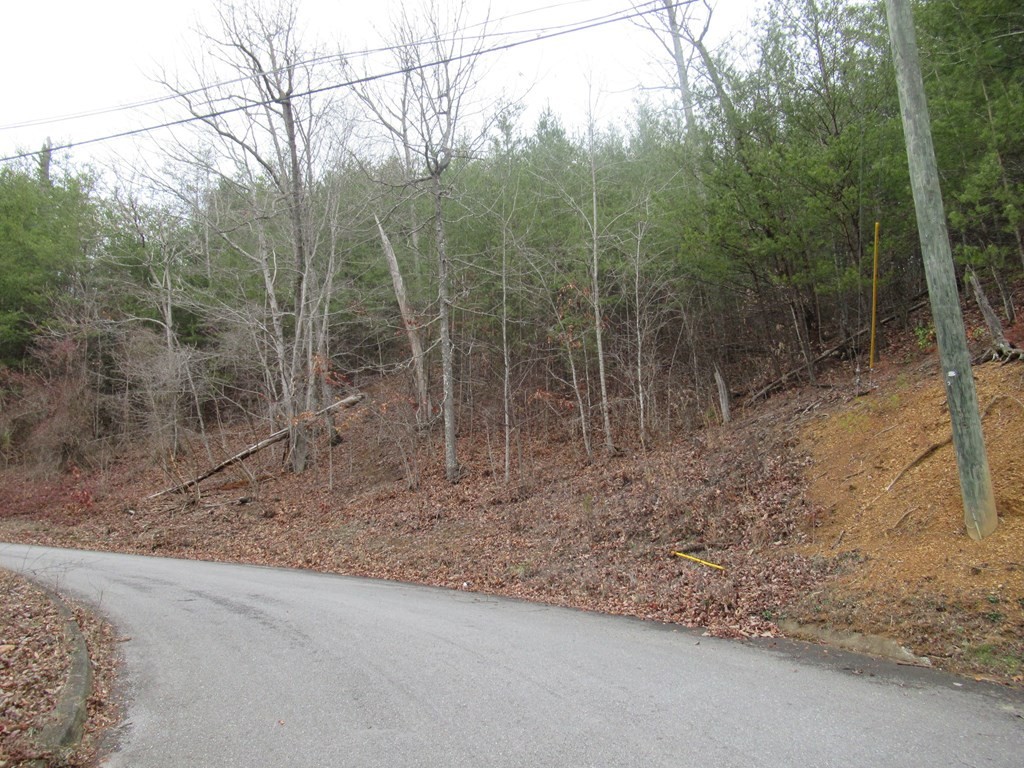 156 Bear Valley Road Sevierville, TN 37876 - Photo 6 of 15