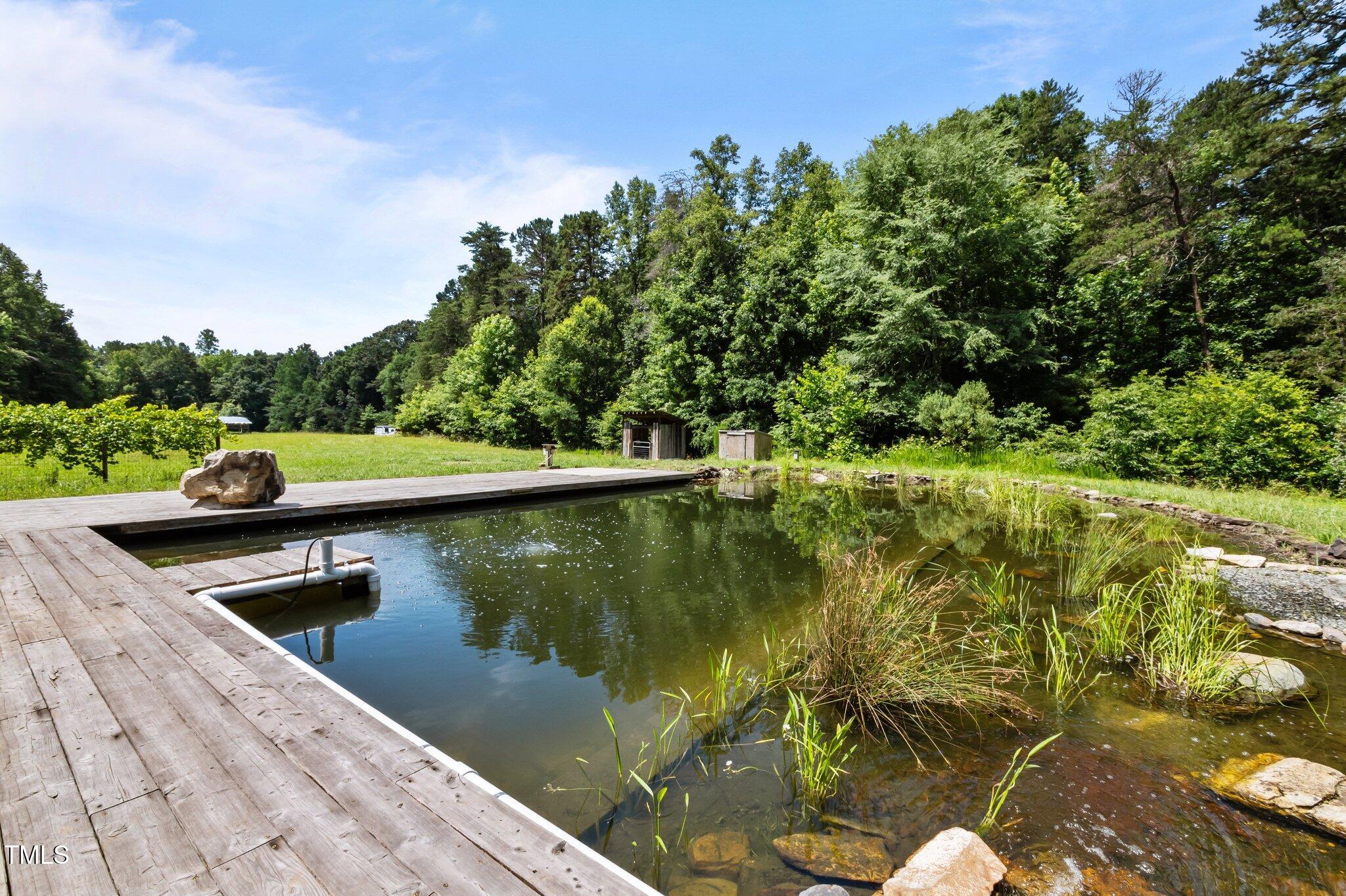 8737 Allison Road Cedar Grove, NC 27231 - Photo 12 of 80 46-web-or-mls-P1068777