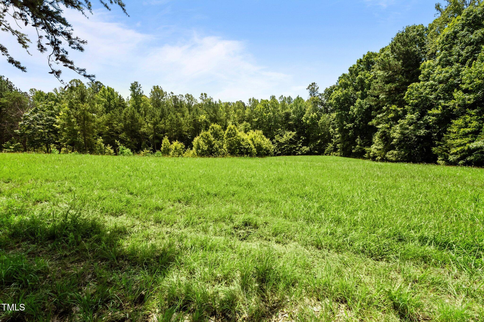 8737 Allison Road Cedar Grove, NC 27231 - Photo 65 of 80 55-web-or-mls-P1068793