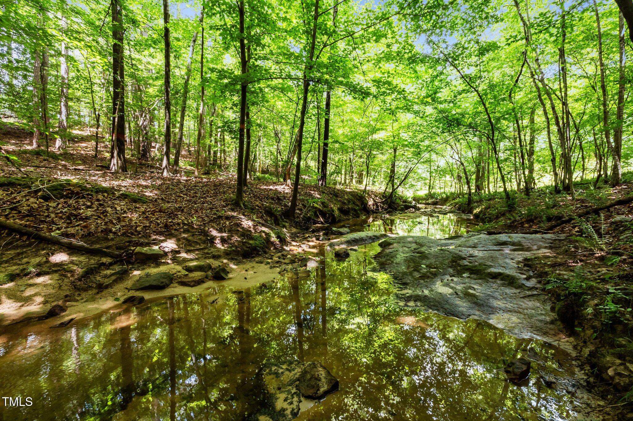 8737 Allison Road Cedar Grove, NC 27231 - Photo 66 of 80 54-web-or-mls-P1068791