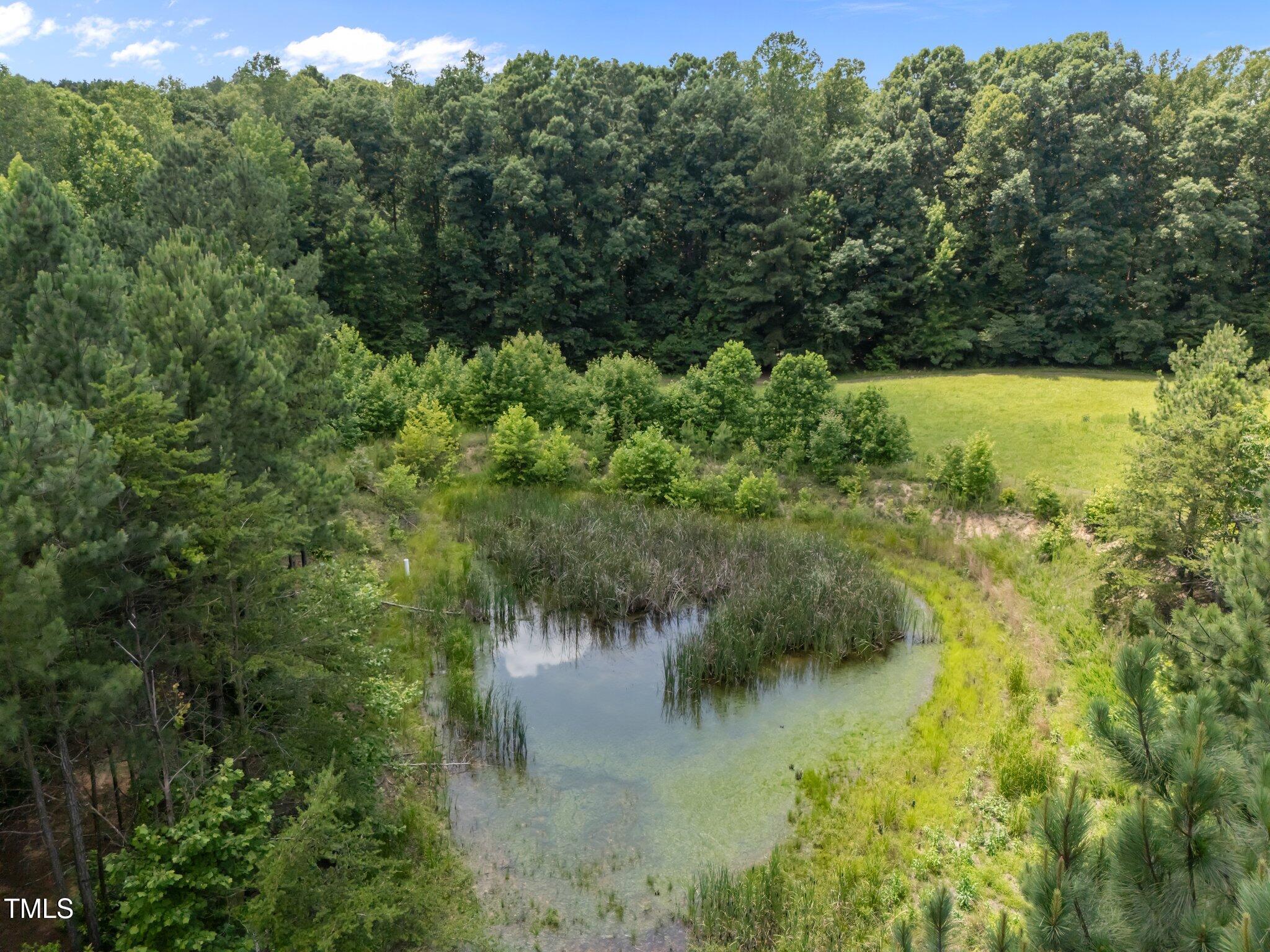 8737 Allison Road Cedar Grove, NC 27231 - Photo 72 of 80 4-web-or-mls-DJI_20250624143839_0047_D