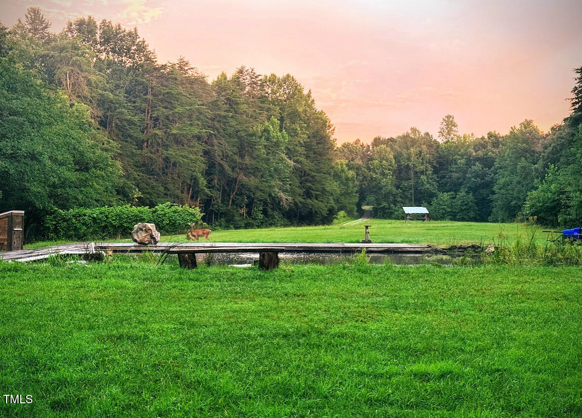 8737 Allison Road Cedar Grove, NC 27231 - Photo 77 of 80 IMG_1525