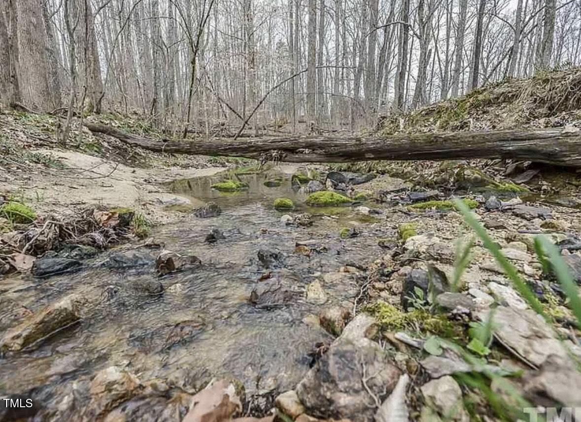 8737 Allison Road Cedar Grove, NC 27231 - Photo 78 of 80 IMG_1531