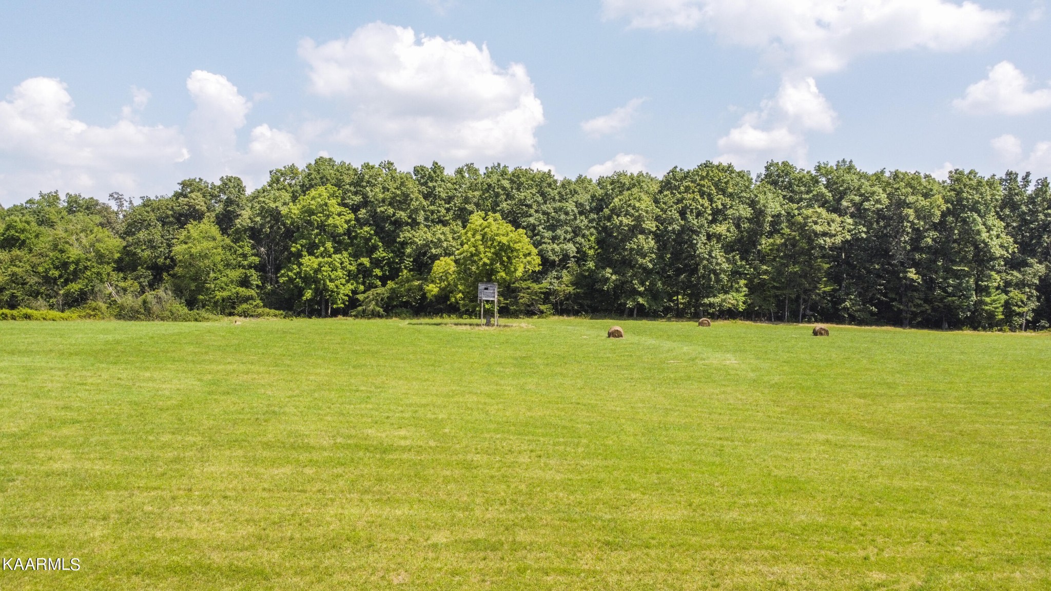 0 North Twin Bridge Road Deer Lodge, TN 37726 - Photo 11 of 33 Gallery Image 11