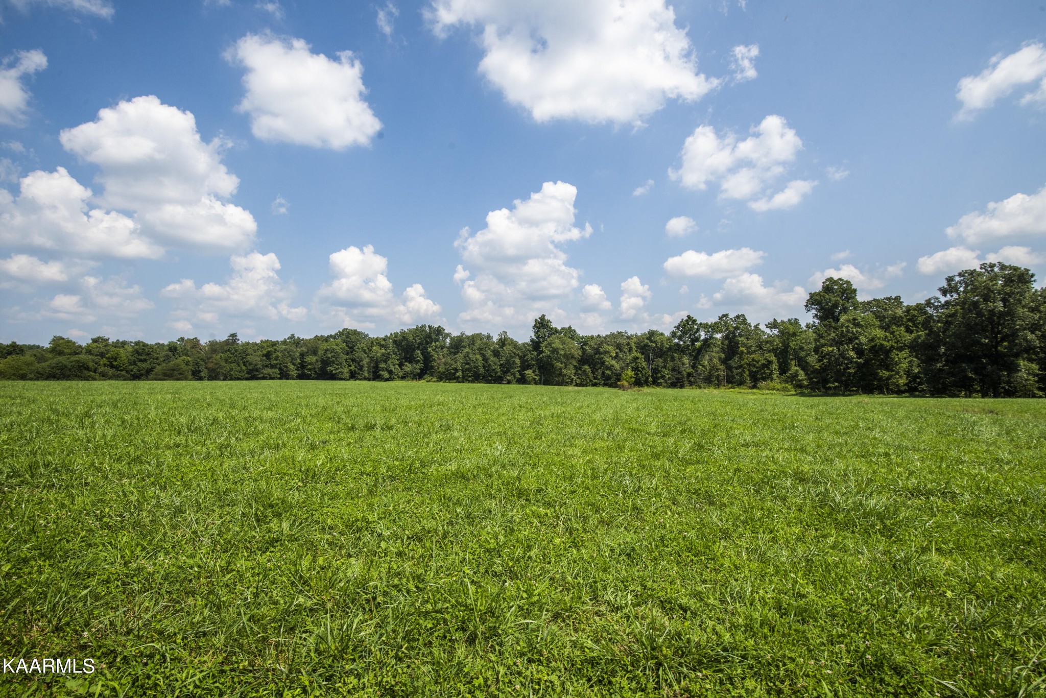 0 North Twin Bridge Road Deer Lodge, TN 37726 - Photo 21 of 33 Gallery Image 21