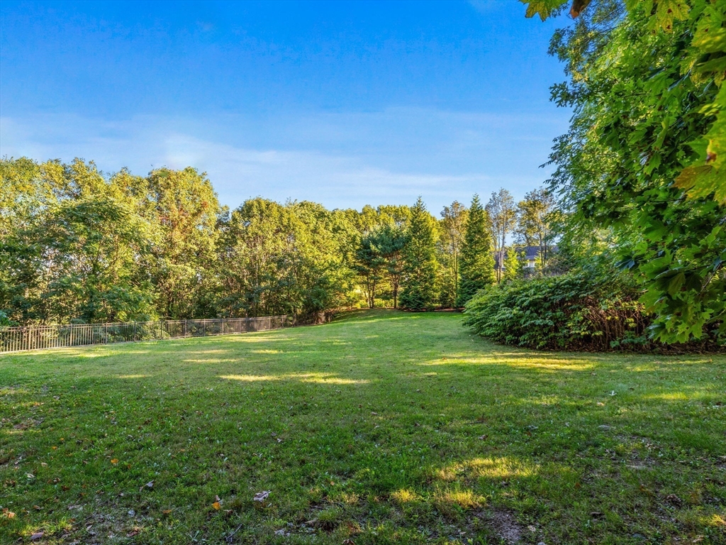 33 Boulder Road Wellesley, MA 02481 - Photo 3 of 6 a view of a grassy field with trees